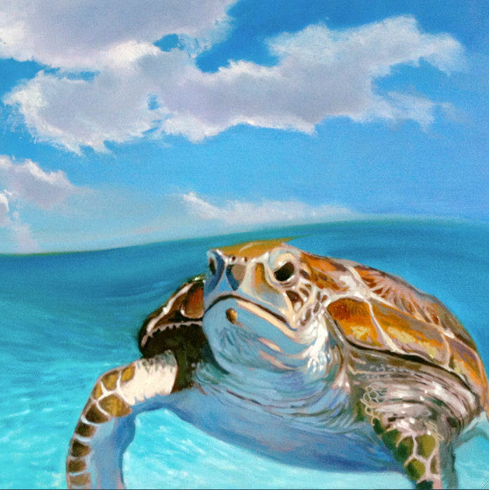 "Honu" Sea turtles are sacred creatures in Hawaiian culture and are symbols of luck and wisdom.  This art piece brings a calm ocean feeling to any space and a reminder of nature's majestic creatures.      Originally painted in oil, this giclee is true to color and of the highest quality. Giclee on canvas, gallery-wrapped.